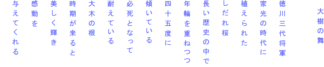 　大樹の舞

徳川三代将軍
家光の時代に
植えられた
しだれ桜
長い歴史の中で
年輪を重ねつつ
四十五度に
傾いている
必死となって
耐えている
大木の根
時期が来ると
美しく輝き
感動を
与えてくれる