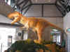 咆哮するティラノサウルス
