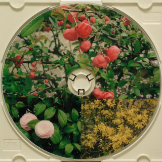 写真：高画質対応CD/DVDレーベル設定のレーベル印刷